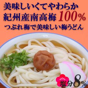 梅干し 700g 訳あり 格安梅 紀州産南高梅...の詳細画像3