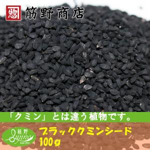 ブラッククミンシード 100g（インド産）　ポイント消化　スパイスカレー　スパイス　spice　香辛料