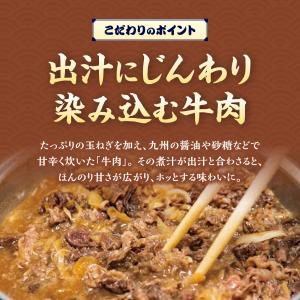 資さんうどん 肉うどん (3人前) 冷凍うどん...の詳細画像2