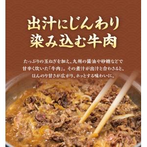 爆買|資さんうどん 肉ごぼ天うどん 3人前 冷...の詳細画像4
