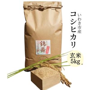 コシヒカリ 玄米5kg いわき市産 令和5年産 農家直送米