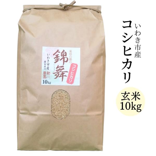 コシヒカリ 玄米10kg いわき市産 令和5年産 農家直送米