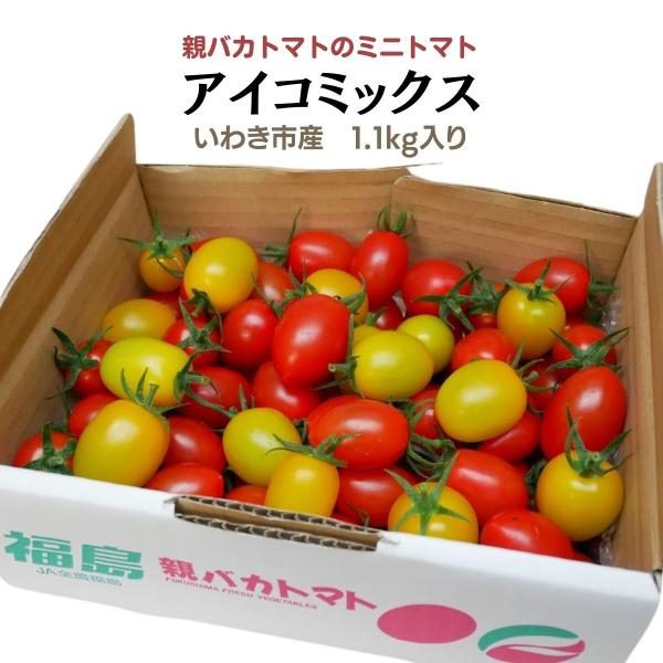 アイコミックス1.1kg 親バカトマトのミニトマト いわき市産 助川農園 農園直送 ギフト