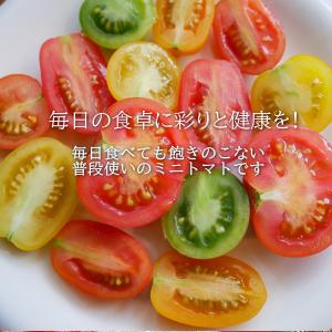 親バカトマトのミニトマト約7種ミックス 1.1...の詳細画像1