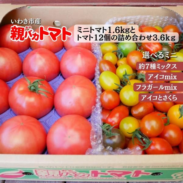 親バカトマト12個とミニトマト1.6kgの詰め合わせ 約3.6kg 選べるミニ  いわき市産 助川農...