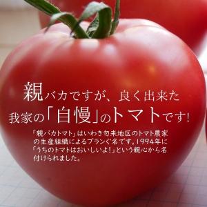 【少々訳ありご家庭用】親バカトマト約4kg L...の詳細画像4