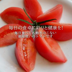 【少々訳ありご家庭用】親バカトマト約4kg L...の詳細画像5