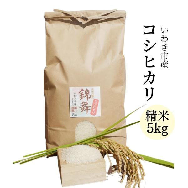 コシヒカリ 精米5kg いわき市産 令和5年産 農家直送米