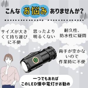 懐中電灯 LEDライト 小型 収納ケース付き ...の詳細画像2