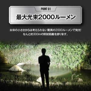 懐中電灯 LEDライト 小型 収納ケース付き ...の詳細画像3