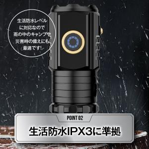 懐中電灯 LEDライト 小型 収納ケース付き ...の詳細画像4