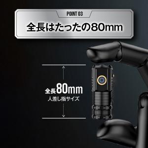 懐中電灯 LEDライト 小型 収納ケース付き ...の詳細画像5
