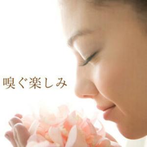 リアル沈丁花ノ香 15ml 日本の3大香木 生...の詳細画像5