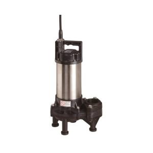 水中ポンプ 荏原製作所 50DWVA 50DWVJ 5.4SB 50Hz 100V 自動交互