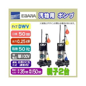 水中ポンプ 荏原製作所 50DWVA 50DWVJ 5.4SB 50Hz 100V 自動交互連動型