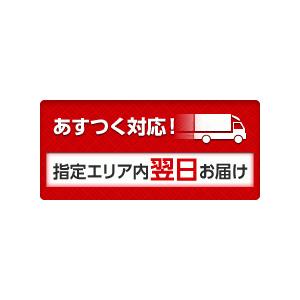 尿石除去剤 トイレ洗剤 デオライトL 1kg ...の詳細画像1