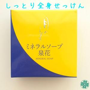 PREMIUM（FDK） ※ゆうパケット送料無料※ 『NANDAMO PREMIUM ナンダモ