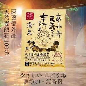 高濃度水素 水素浴 ジームスバス : すこやかECO通信 - 通販 - Yahoo