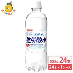 日本サンガリア 伊賀の天然水 強炭酸水 500ml 24本 ペットボトル 炭酸 炭酸水 飲料 ドリンク
