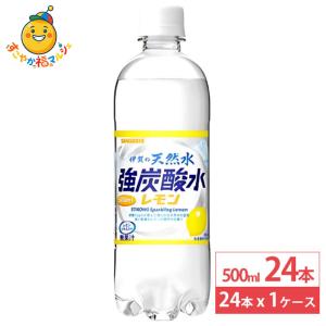 日本サンガリア 伊賀の天然水 強炭酸水 レモン 500ml 24本 ペットボトル 炭酸 飲料 ドリンク