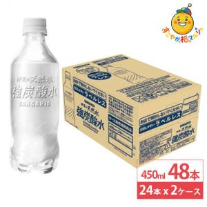 日本サンガリア 伊賀の天然水強炭酸水 ラベルレス 450ml 24本×2ケース (48本) ペットボトル 炭酸 炭酸水 飲料 ドリンク