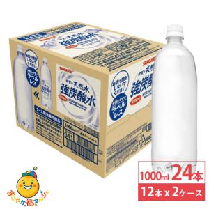日本サンガリア 伊賀の天然水 強炭酸水 ラベルレス 1L 1000ml 12本×2ケース (24本) ペットボトル 1L 炭酸 炭酸水 飲料 ドリンク