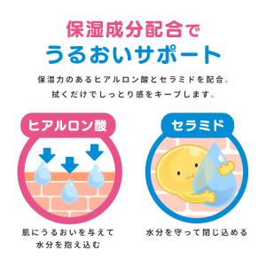おしりふき 薄手 80枚入 おしり拭き 純水9...の詳細画像5