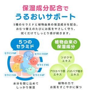 おしりふき 厚手 100枚入 おしり拭き ふた...の詳細画像5