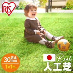 人工芝 アイリスオーヤマ リアル人工芝 1m×1m 芝生 庭 diy 芝 おすすめ 人工芝マット 1M 1m2 芝丈30mm IP-3011 アイリスソーコー