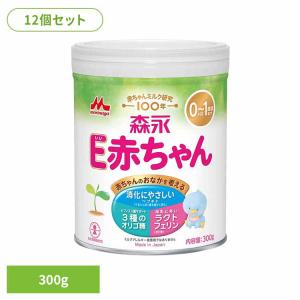 E赤ちゃん 粉ミルク 10個セット スティックタイプ 13g×10本 森永乳業