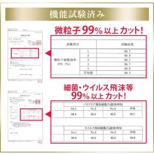 マスク 不織布 アイリスオーヤマ 3個セット ...の詳細画像2