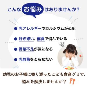 こども食育グミ 2袋120粒 幼児 成長 発育...の詳細画像2