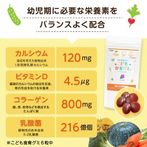 こども食育グミ 2袋120粒 幼児 成長 発育...の詳細画像4