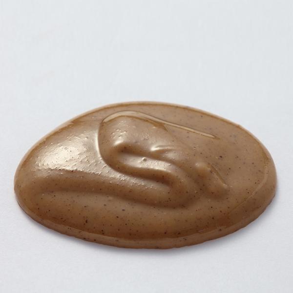 【DGF】DGF ピュアノワゼットペースト　1kg　(01503524)