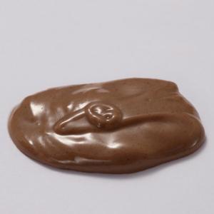 【DGF】プラリネ　ノワゼット　6kg　(01503543)