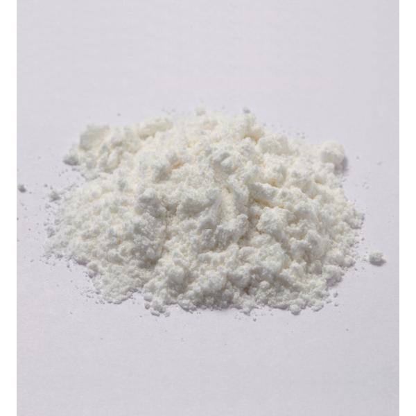 【DGF】クレームパティシエ　1kg　(01504503)