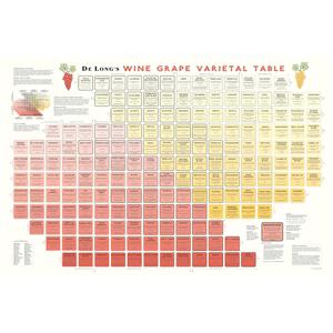 【デ・ロング社】ブドウ品種チャート（G02369)★送料￥1,100-申し受けます