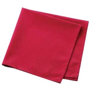 トーション ワインレッド DG4246 x 10枚セット（G05005)★送料￥1,100-申し受け...