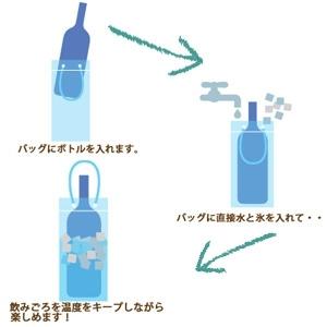 【ファンヴィーノ】アイスクーラーバッグ・クリア...の詳細画像1