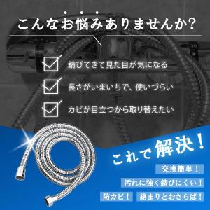 シャワーホース 交換 TOTO KVK INA...の詳細画像4
