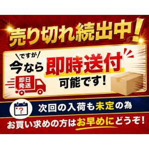 自転車 ライト 予備用 ベルトの詳細画像4