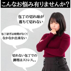 包丁研ぎ器 包丁シャープナー コンパクト プロ...の詳細画像4