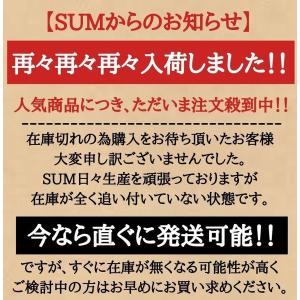 【10枚セット】マグネットローダー 35pt ...の詳細画像1