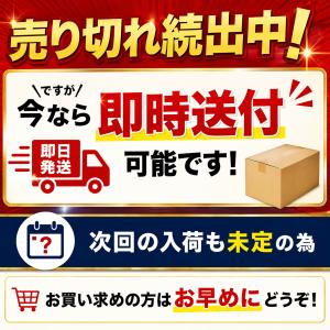 互換品 ジレット替刃 ジレット フュージョン ...の詳細画像2