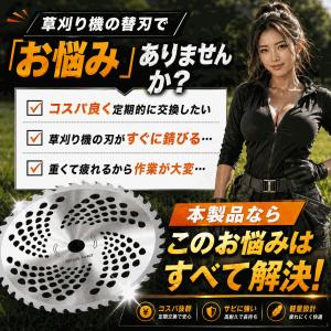 【5枚セット】チップソー 替刃 255mm 4...の詳細画像4