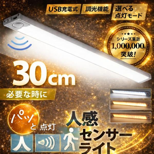 【30cm】センサーライト 人感センサーライト 室内 屋外 屋内 LED 玄関 防水 充電式 電池式...