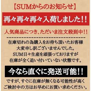 【30cm】センサーライト 人感センサーライト...の詳細画像1