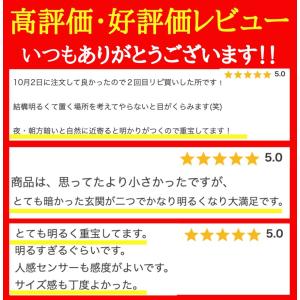 【30cm】センサーライト 人感センサーライト...の詳細画像3