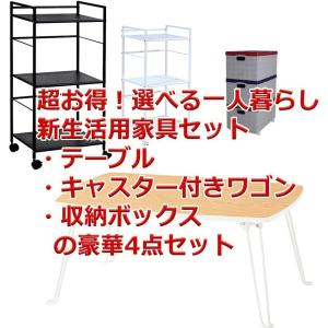 ◆完売◆一人暮らしセット