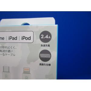 Apple MFi認証品 RAVPower T...の詳細画像3